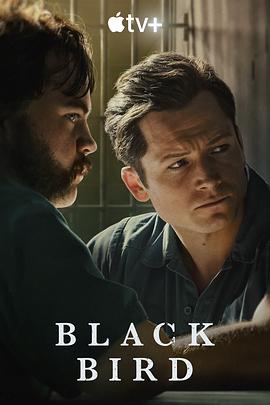 Black Bird封面图
