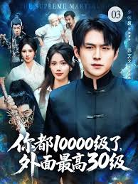 你都10000级了，外面最高30级 真人剧海报