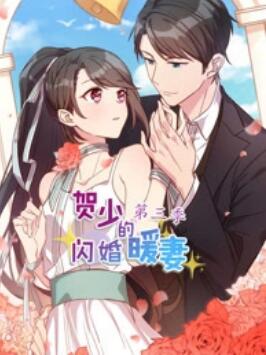 贺少的闪婚暖妻 动态漫