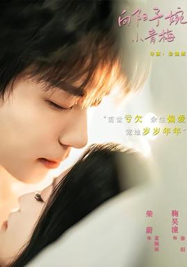 《向阳予婉小青梅》海报