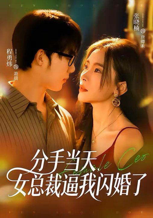 分手当天，女总裁逼我闪婚了封面图
