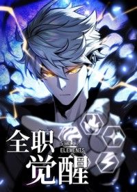 全职觉醒封面图