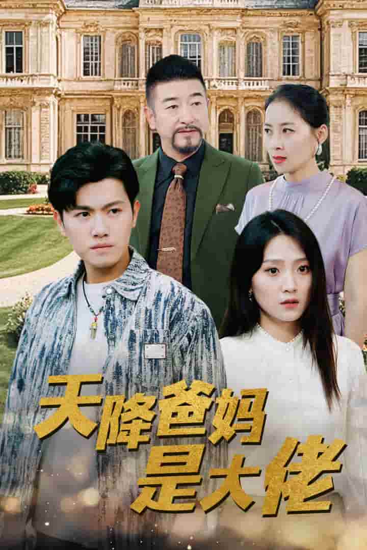 天降爸妈是大佬 海报