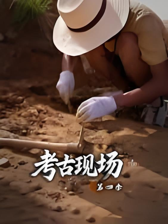 X档案·考古现场