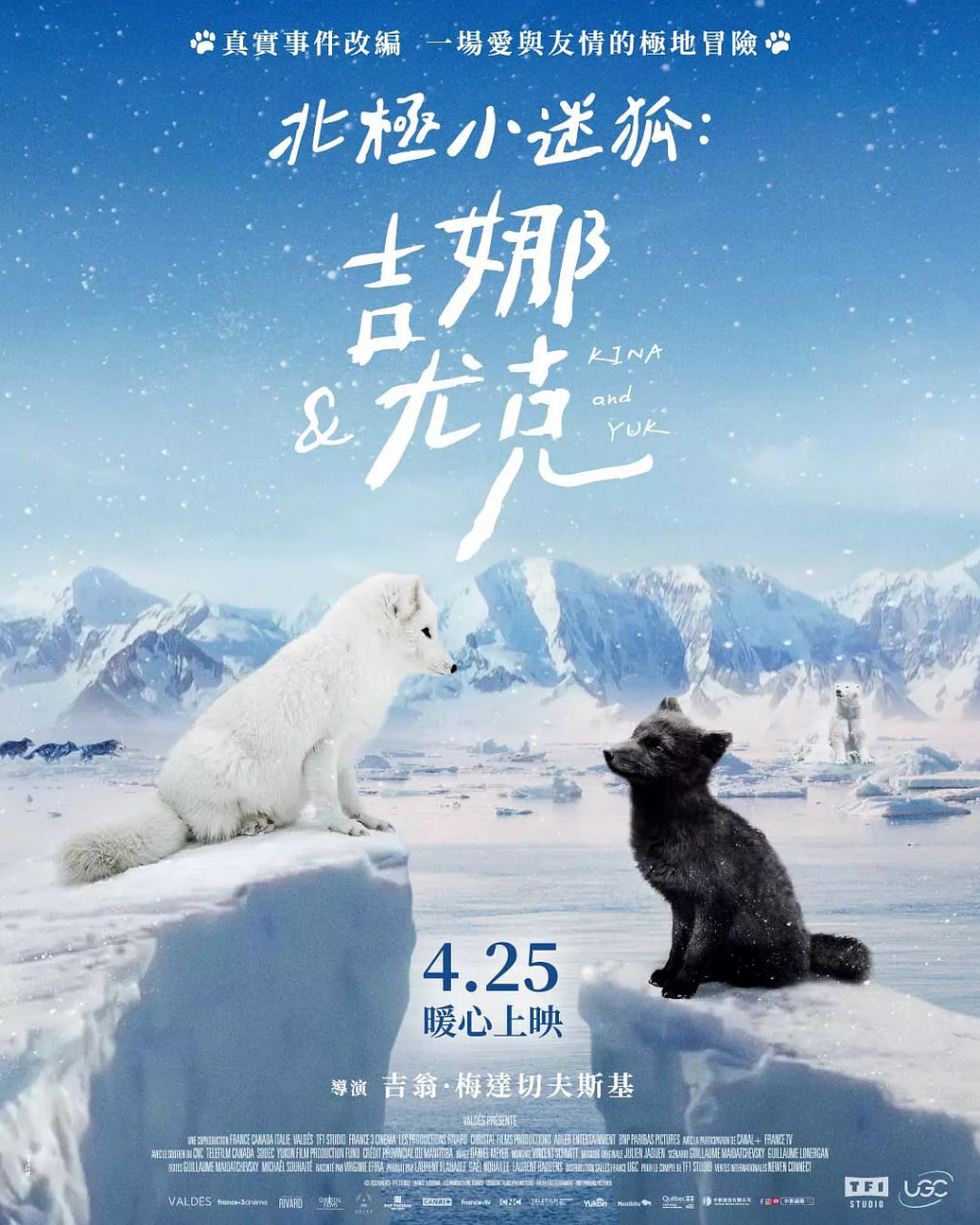 北极小迷狐吉娜&尤克