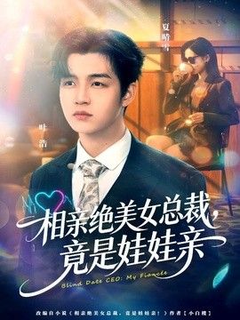相亲绝美女总裁，竟是娃娃亲 海报