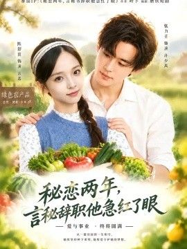 秘恋两年，言秘辞职他急红了眼封面图