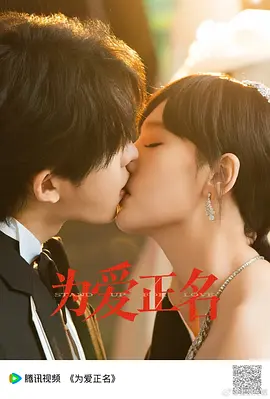 《为爱正名》海报