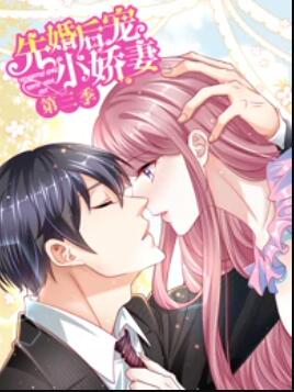 先婚后宠小娇妻