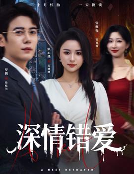 深情错爱 真人剧海报