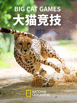 大猫竞技 海报