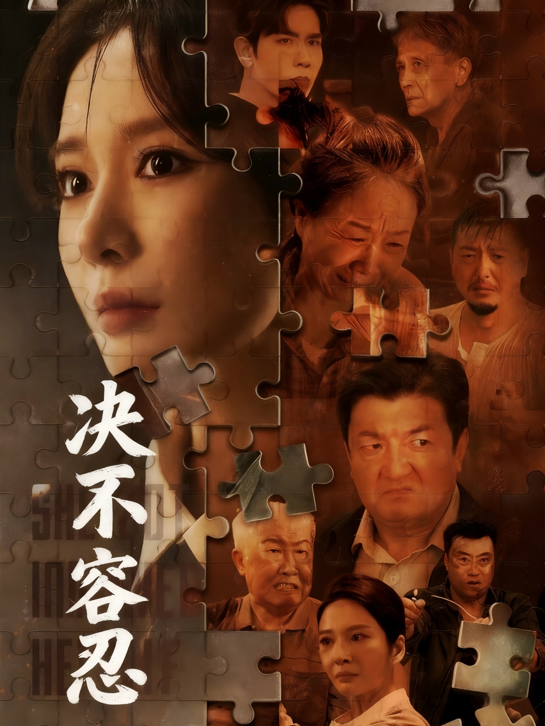 决不容忍 真人剧海报