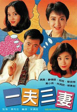 一夫三妻封面图