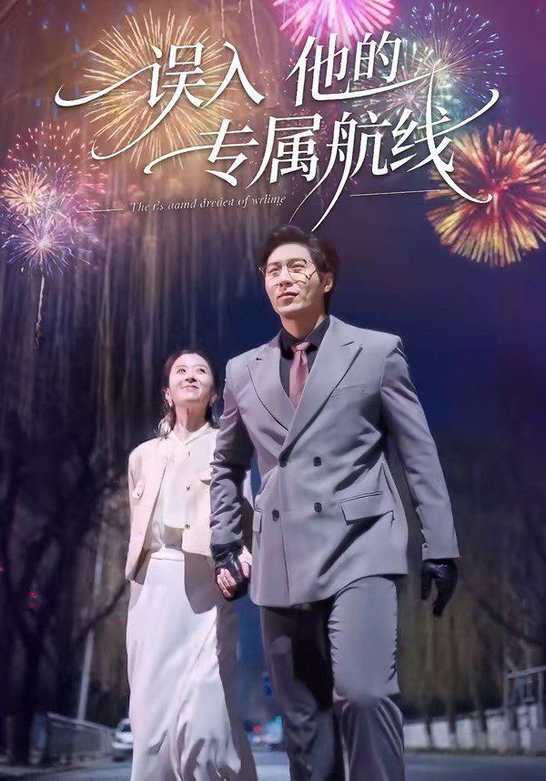 误入他的专属航