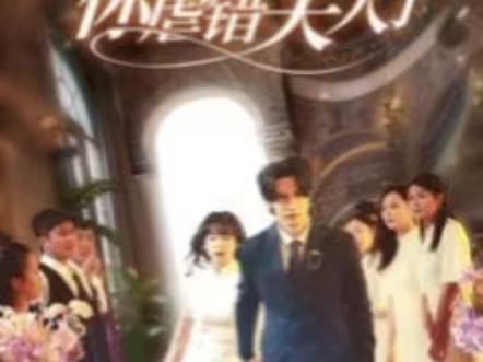 陆总住手吧，你虐错夫人了 海报