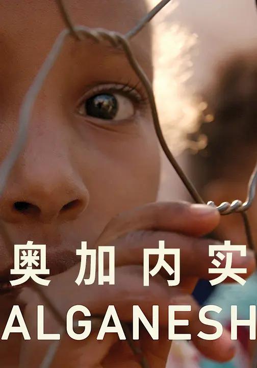 奥加内实封面图