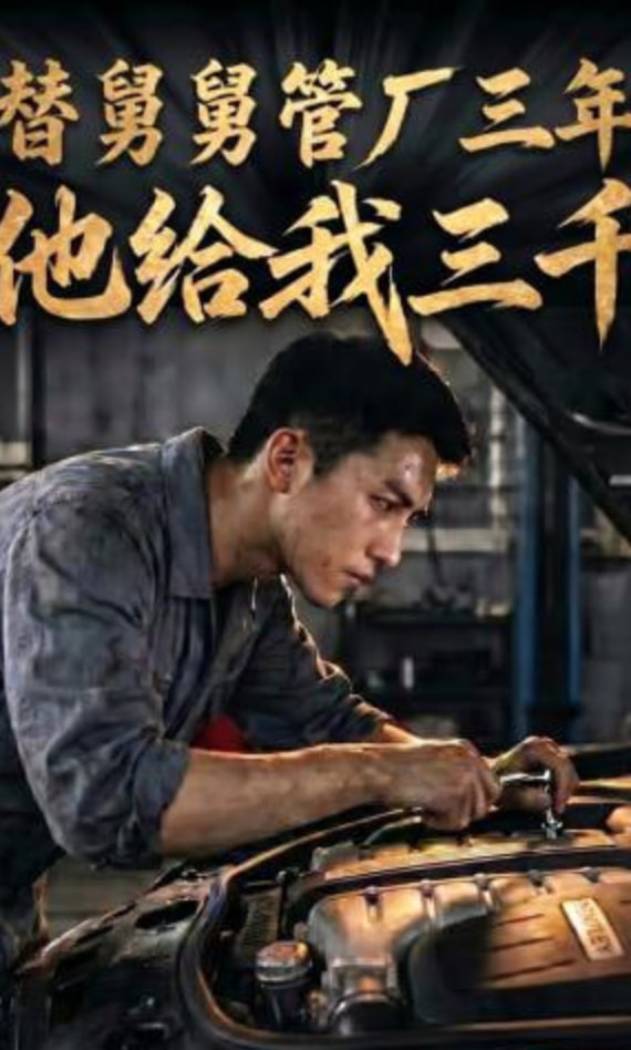 替舅舅管厂三年他给我三千封面图