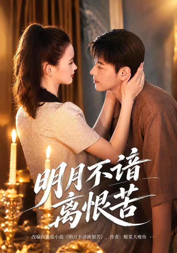 明月不谙离恨苦封面图