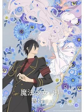 魔法少女与恶曾是敌人。的海报