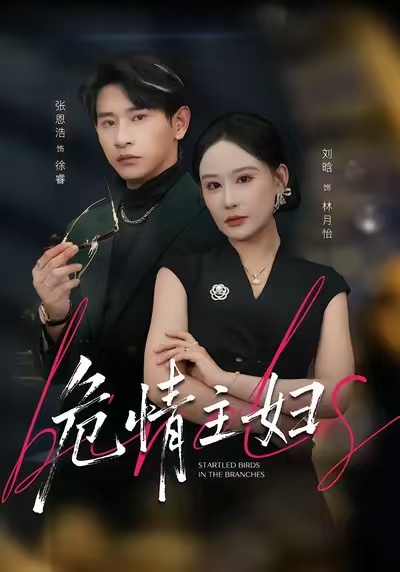 危情主妇 真人剧海报