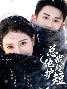 总裁他超护短封面图