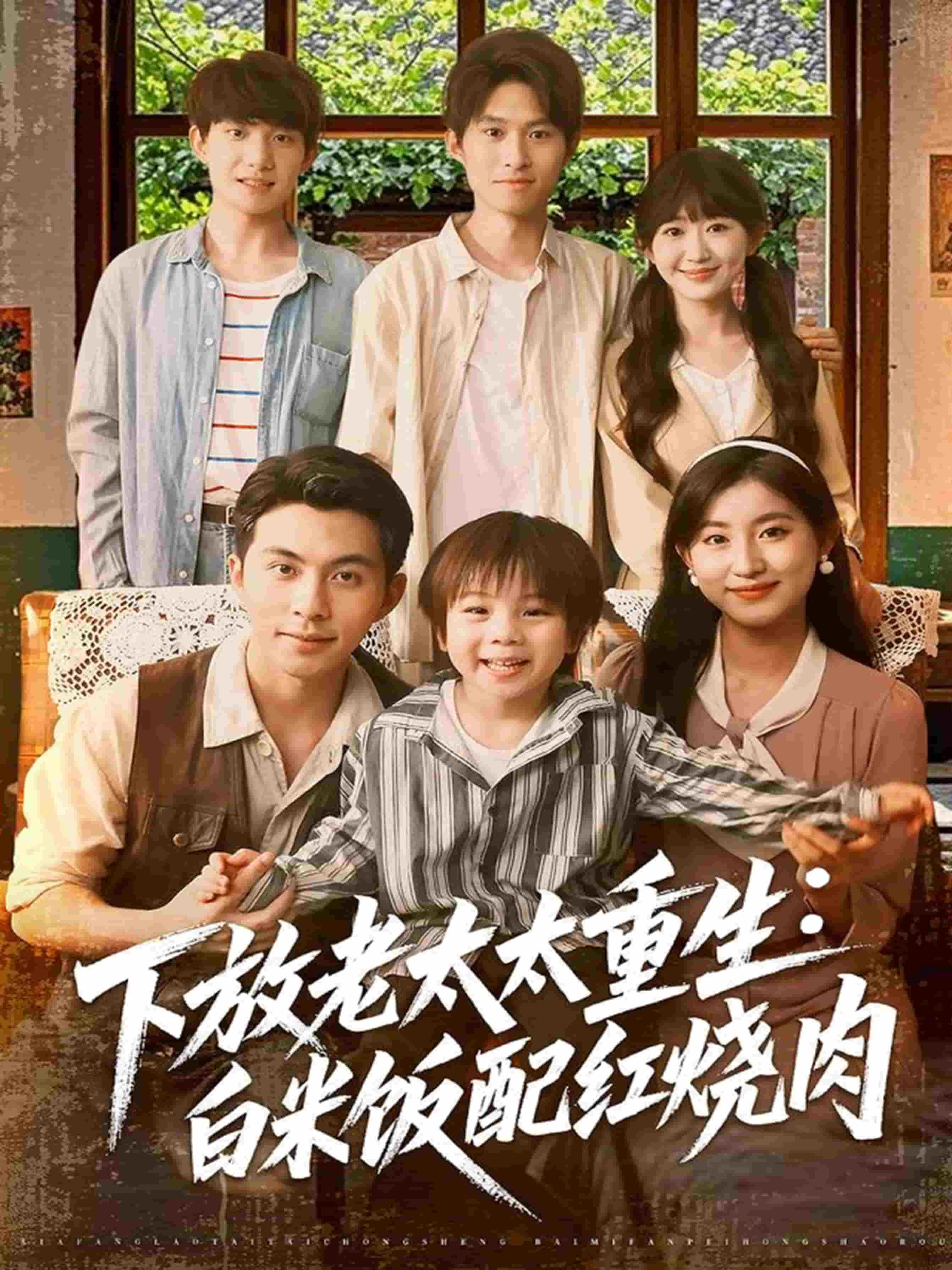 下放老太太重生白米饭配红烧肉封面图