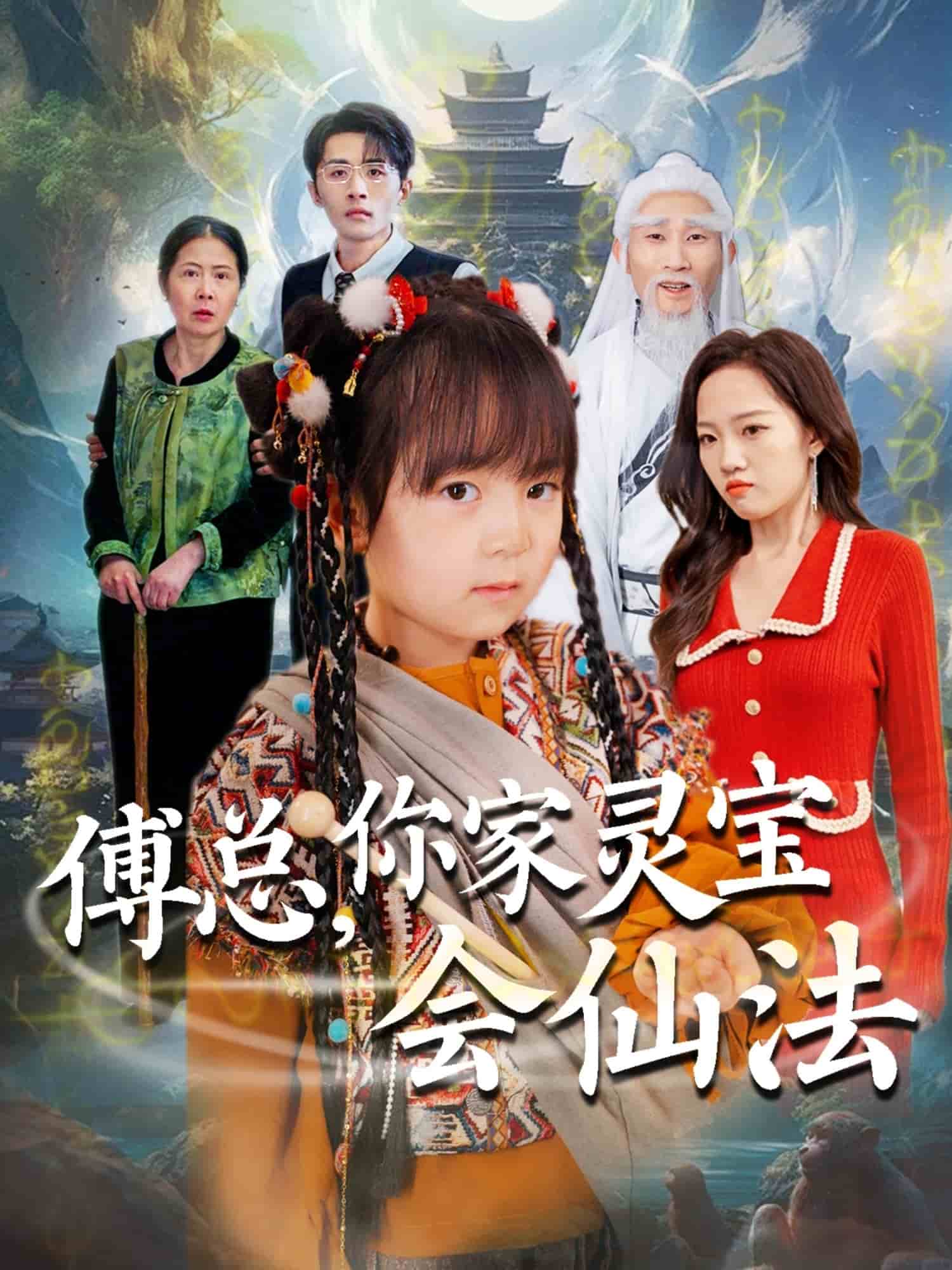 傅总，你家灵宝会仙法 真人剧海报