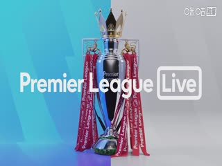 英超联赛 阿森纳VS托特纳姆热刺 20251124