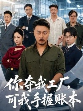 你夺我工厂，可我手握账本封面图