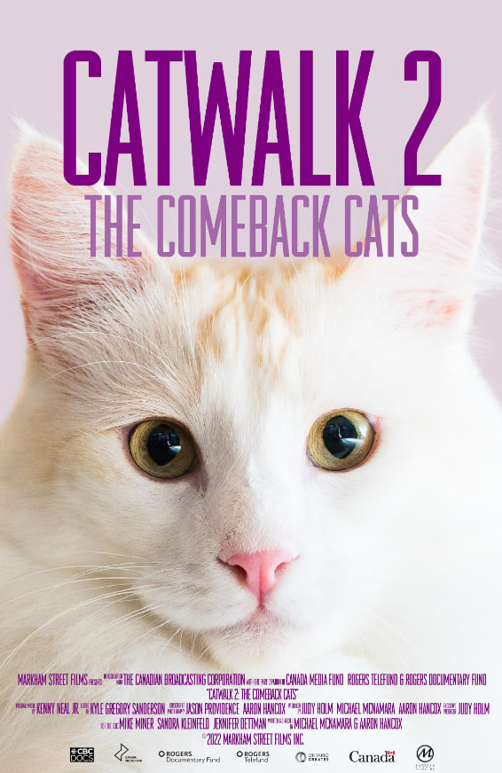 《猫步2：回归的猫》