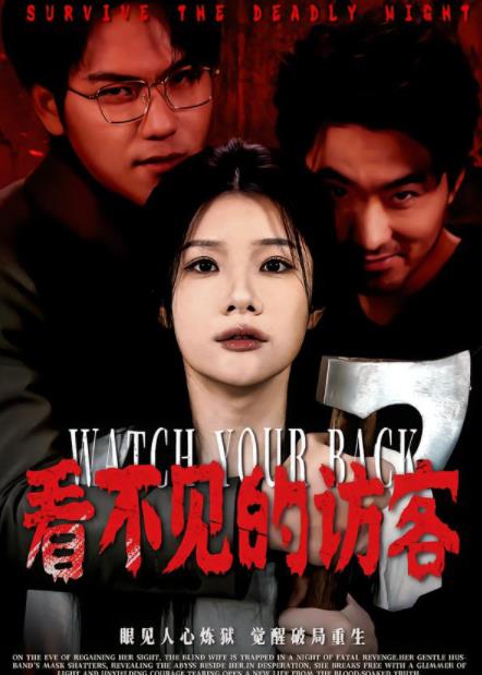 看不见的访客 真人剧海报