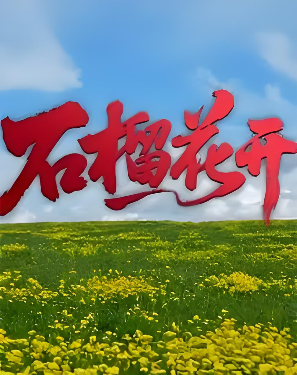 石榴花开封面图