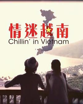 情迷越南粤语 海报