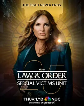 法律与秩序：特殊受害者 Law amp; Order Special Victims Unit