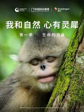 《我和自然 心有灵犀》 - 生命的力量封面图