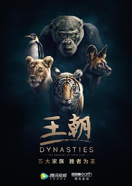 王朝 英文版