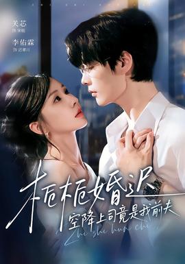 《栀栀婚迟，空降上司竟是我前夫》海报
