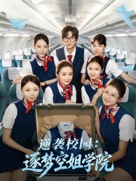 逆袭校园：逐梦空姐学院封面图