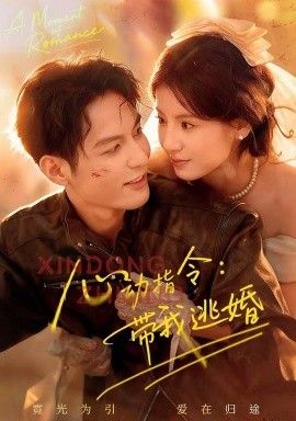心动指令：带我逃婚，玫瑰窃贼