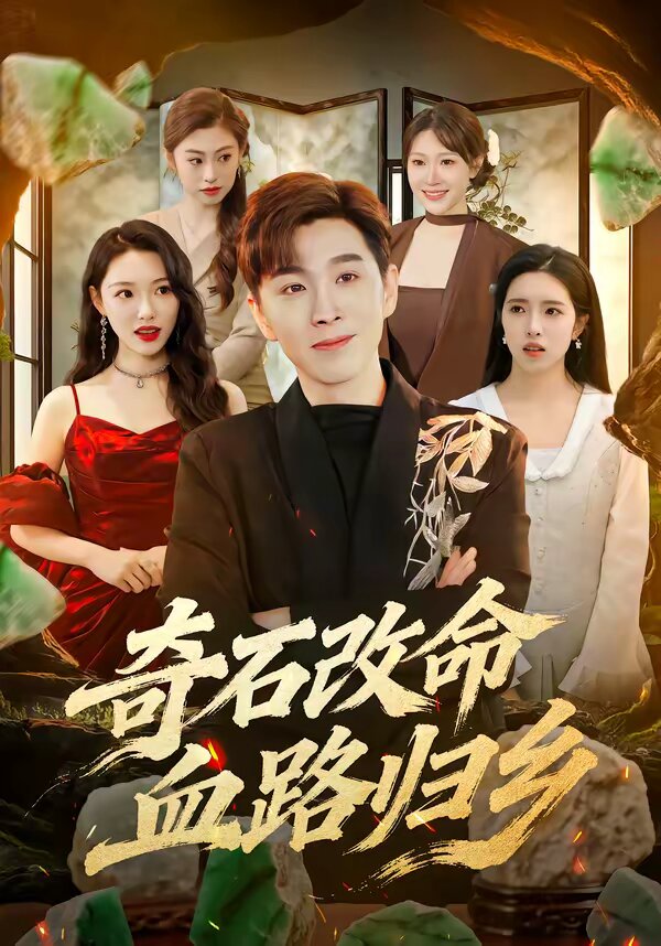 奇石改命血路归 真人剧海报