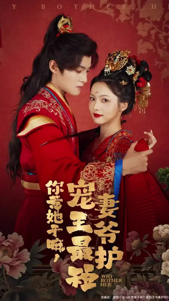 你惹她干嘛，宠妻王爷最护
