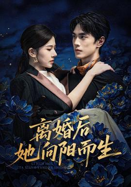 离婚后她向阳而生 海报