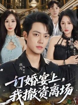 订婚宴上，我撤资离场封面图