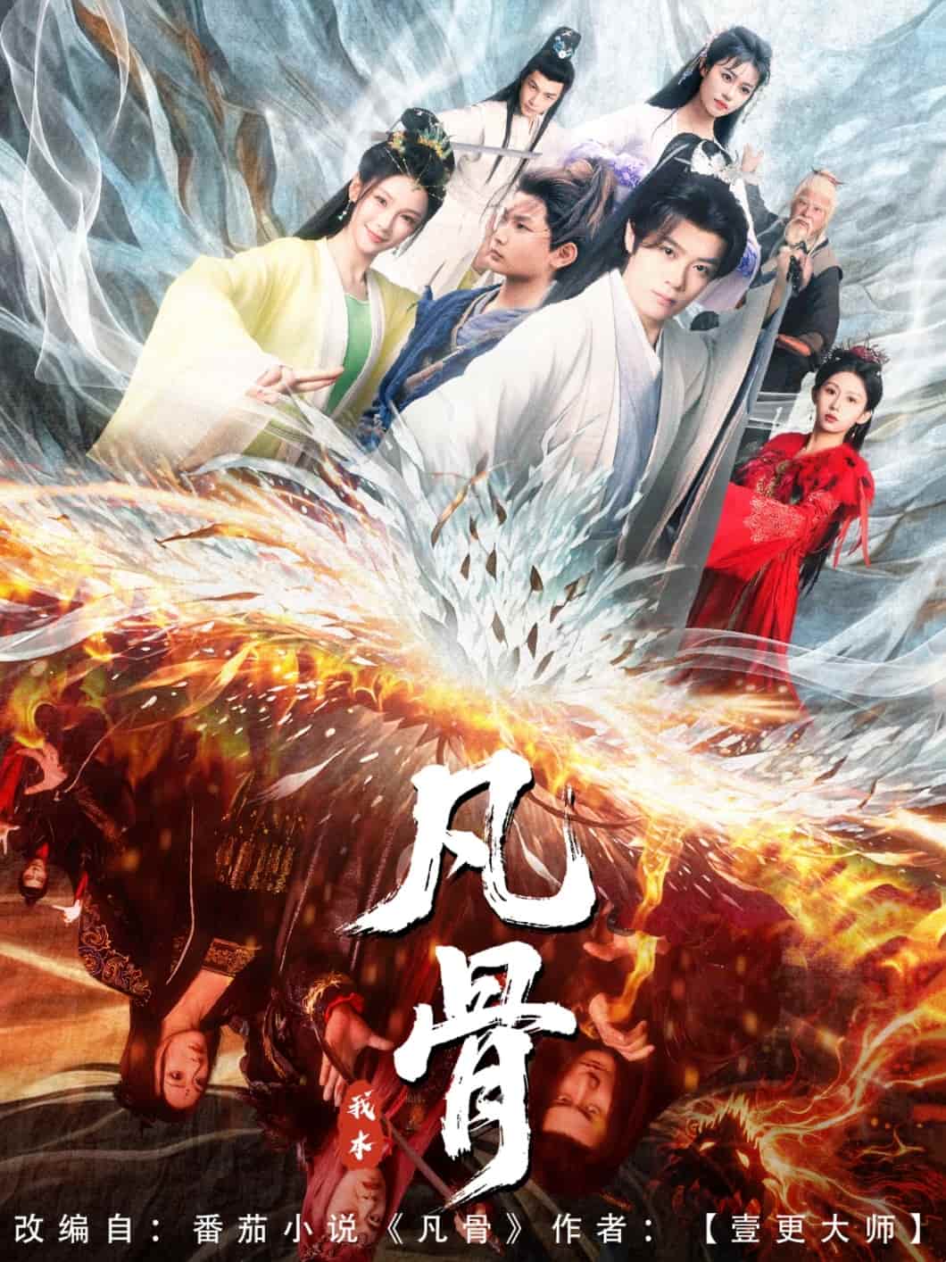 我本凡骨 海报