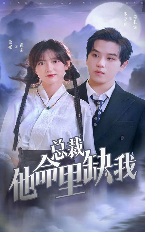 总裁他命里缺我 海报
