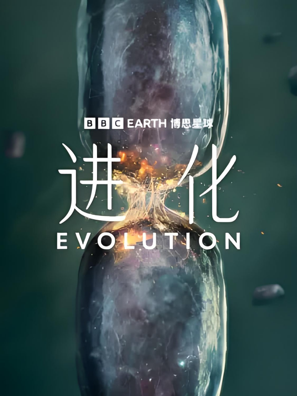 进化（中配版）封面图
