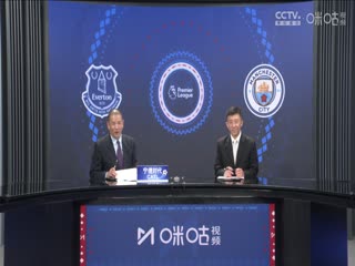 英超联赛 埃弗顿VS曼城 20250419