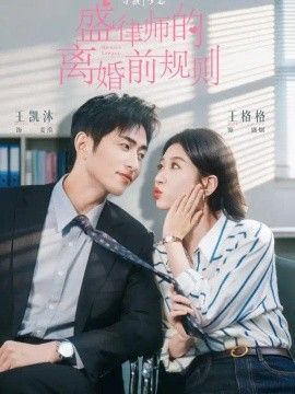 盛律师的离婚前规则封面图