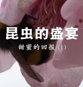 昆虫的盛宴粤语 海报