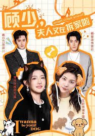 顾少，夫人又在拆家啦封面图